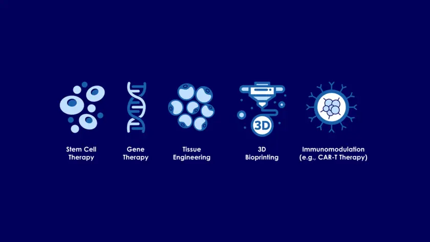 stem cell